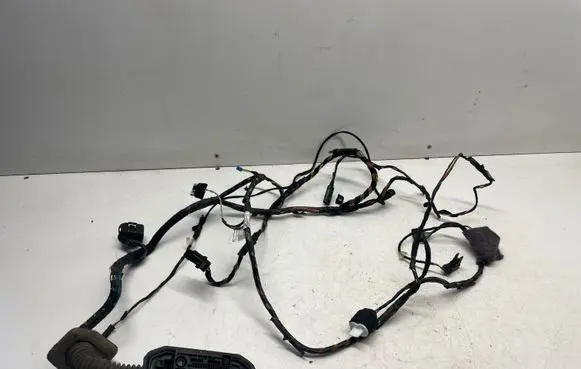 BMW X5 E70 Front door wiring loom 9203113
