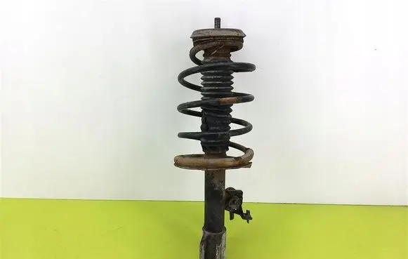 Peugeot 307 Front shock absorber with coil spring