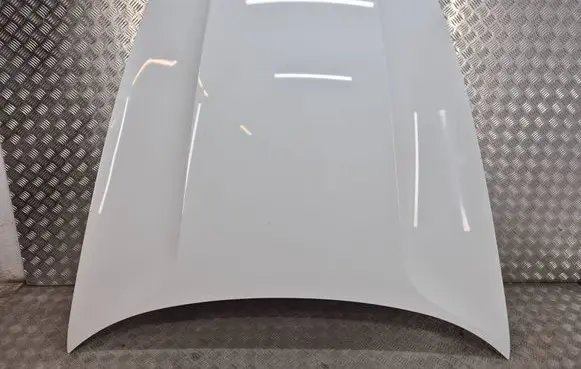 Porsche Panamera (970) Engine bonnet/hood