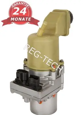 Renault Laguna III Power steering pump 491100023R