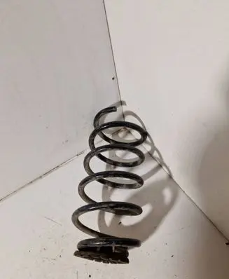 Rear coil spring