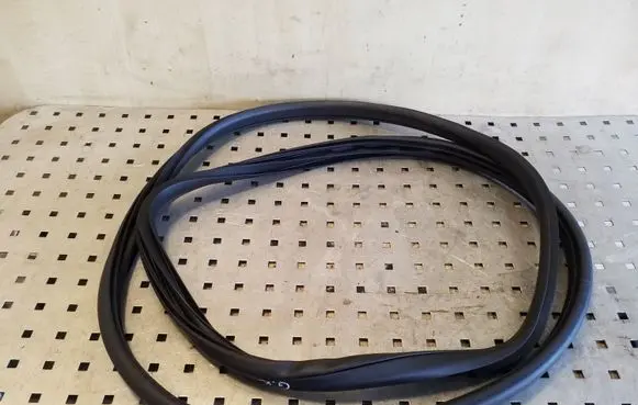 Nissan Juke I F15 Rear door rubber seal (on body) 