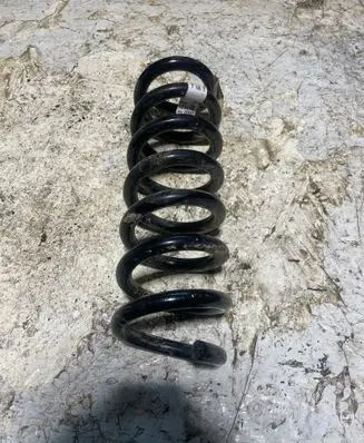 Rear coil spring