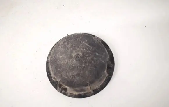 Headlight/headlamp dust cover
