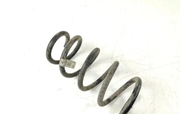 Tesla Model 3 Rear coil spring 104447201E