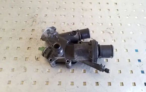 Thermostat/thermostat housing