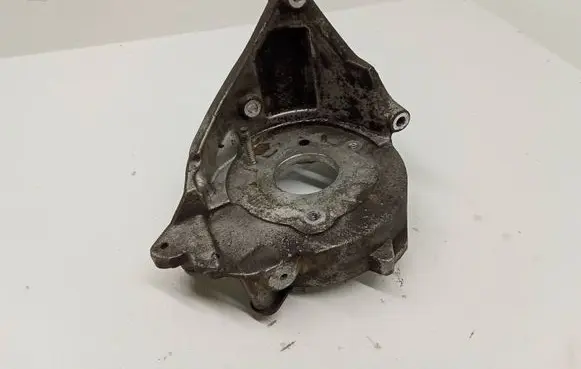 Citroen Berlingo Fuel pump bracket 96389217