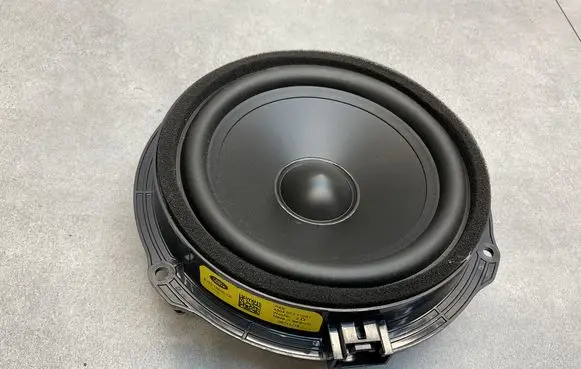 Land Rover Range Rover Evoque L538 Front door speaker BJ3218808CE
