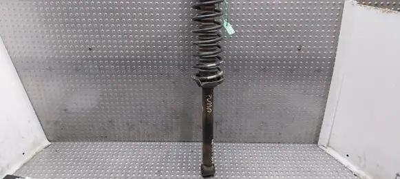 Ford Puma Rear shock absorber/damper