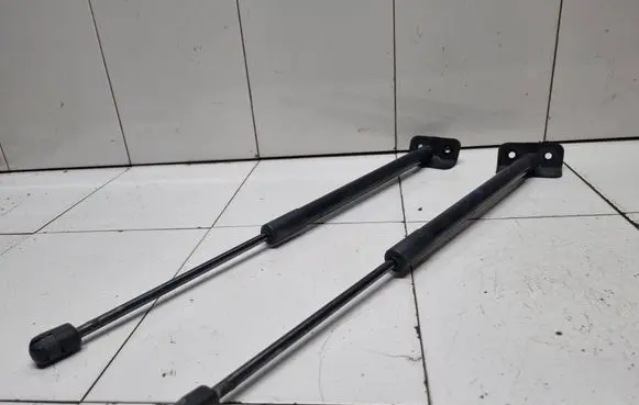Tailgate/trunk strut/damper