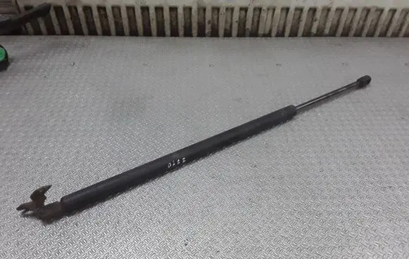 Chrysler Pacifica Tailgate/trunk strut/damper