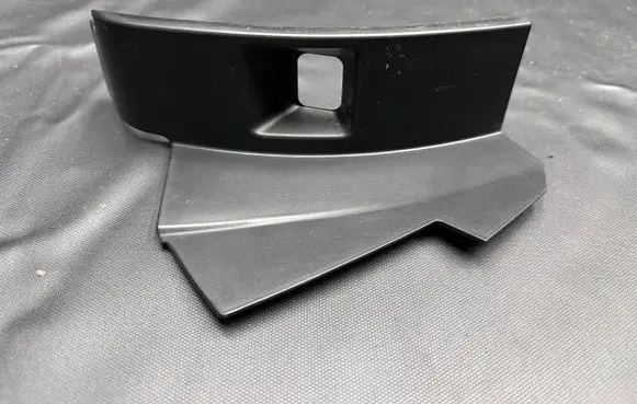 Rear/tail light trim molding