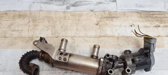 Citroen C5 EGR valve