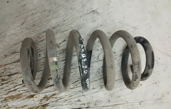 Audi A4 S4 B7 8E 8H Rear coil spring