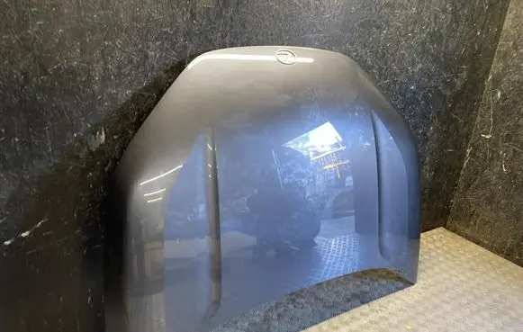 Engine bonnet/hood