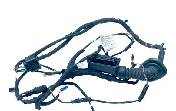 Rear door wiring loom
