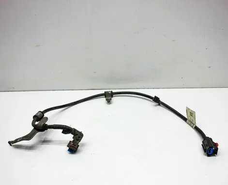 Other wiring loom