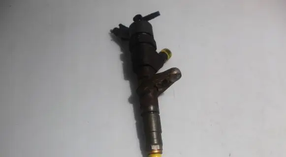 Renault Scenic II - Grand scenic II Fuel injector 0445110110