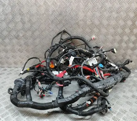 Tesla Model Y Other wiring loom 248905808B 248905901A