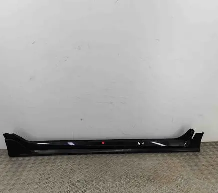 Honda Civic X Sill 71808TGHE01