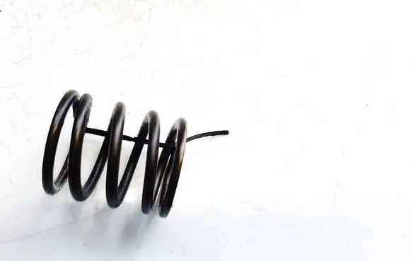 Volkswagen PASSAT B6 Valve spring 