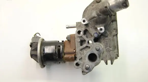 Suzuki Grand Vitara II EGR valve 390285