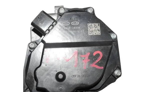 KIA Sorento Throttle valve 284302R00