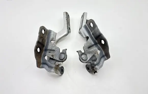 Lexus CT 200H Engine bonnet/hood hinges 