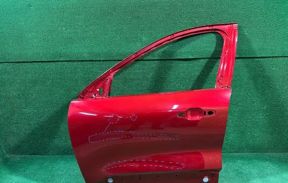 Ford Kuga III Front door LV4BS20221AF