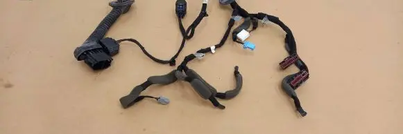 Rear door wiring loom