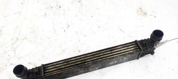 Seat Alhambra (Mk1) Intercooler radiator