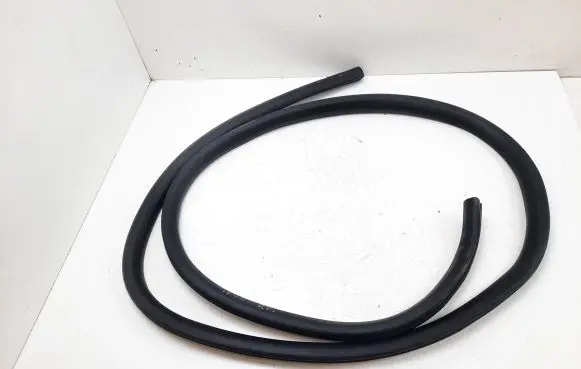 Ford Mustang Mach-E Rear door rubber seal (on body) LJ8B3530BPIA01