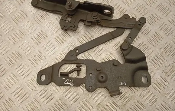 BMW 6 F06 Gran coupe Engine bonnet/hood hinges 7249888 724988809