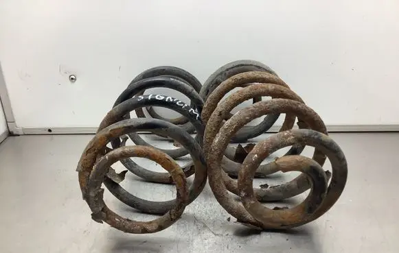 Opel Signum Rear coil spring 