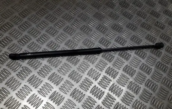 Tailgate/trunk strut/damper