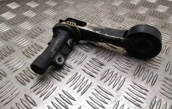 Peugeot 207 Alternator belt tensioner 75343988009