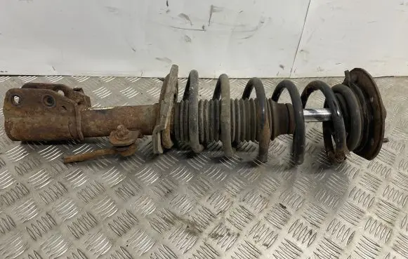 Chevrolet Captiva Front shock absorber with coil spring