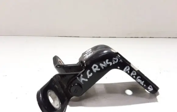 KIA Carens II Rear door lower hinge