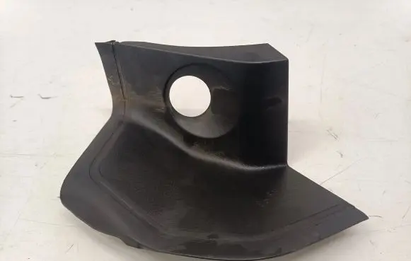 Rear/tail light trim molding