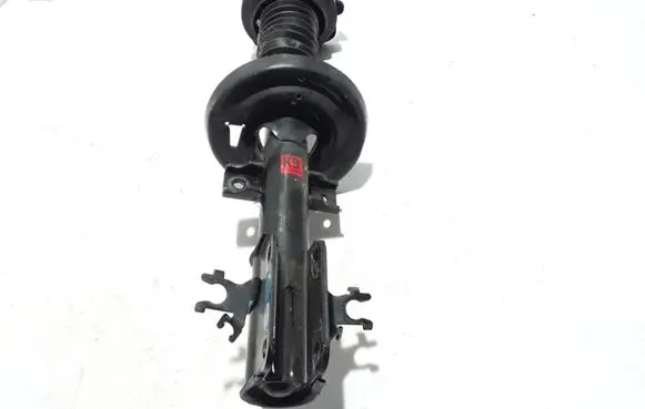 Renault Latitude (L70) Front shock absorber/damper 513025835R