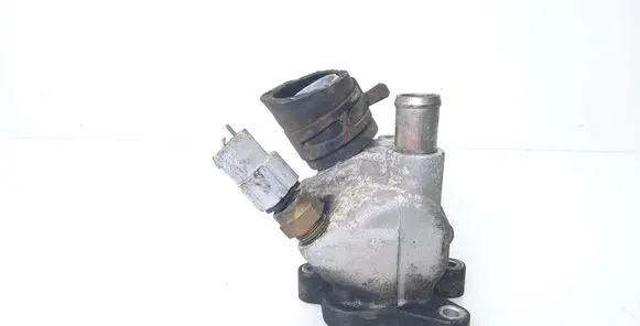 Thermostat/thermostat housing