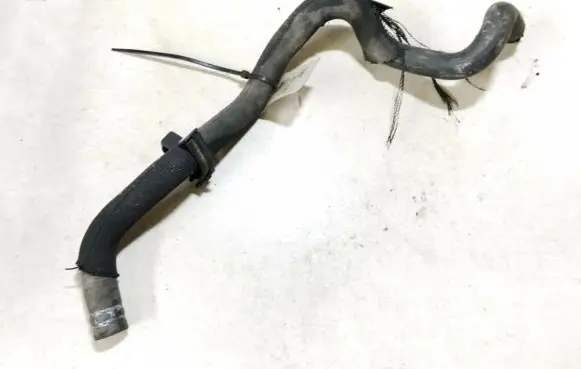 Citroen Xsara Picasso Engine coolant pipe/hose