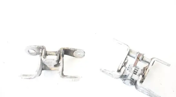 Chrysler 300 - 300C Rear door lower hinge