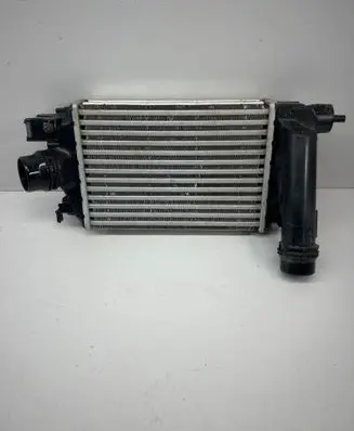 Dacia Sandero III Intercooler radiator 144968819 144968819R