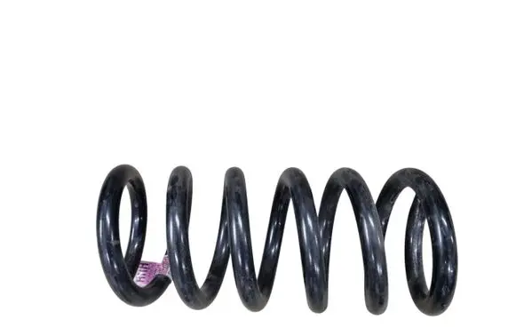 Rear coil spring