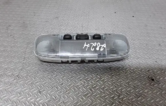 Ford S-MAX Front seat light