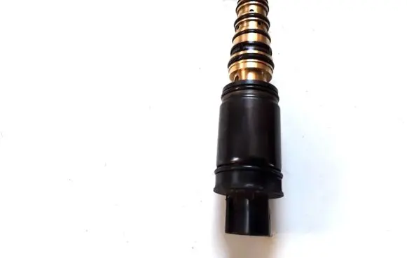 Camshaft pulley/ VANOS