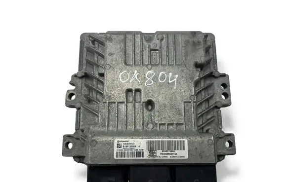 Engine control unit/module ECU