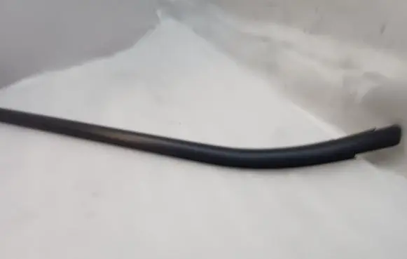 Rear door glass trim molding