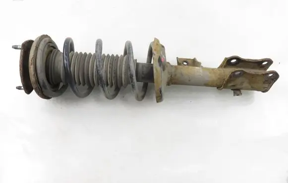 Suzuki Grand Vitara II Front shock absorber with coil spring